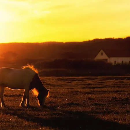 Nordsee Liebe Haus E * Spiekeroog